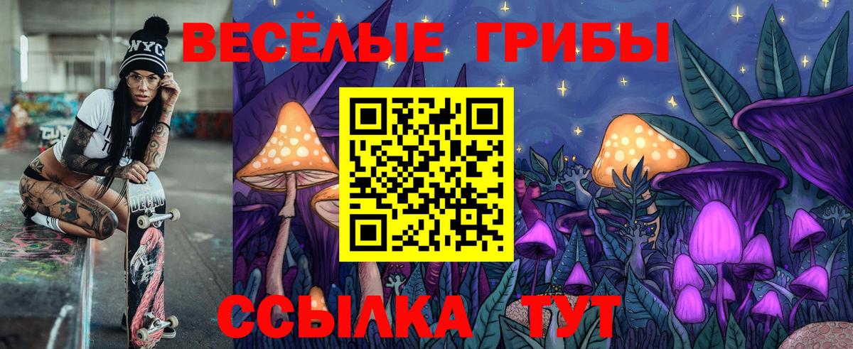 A PVP Серпухов